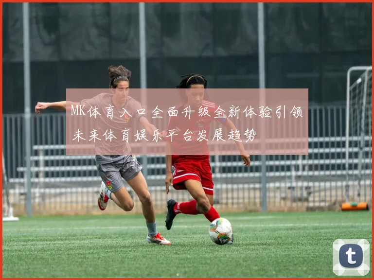 MK体育入口全面升级全新体验引领未来体育娱乐平台发展趋势