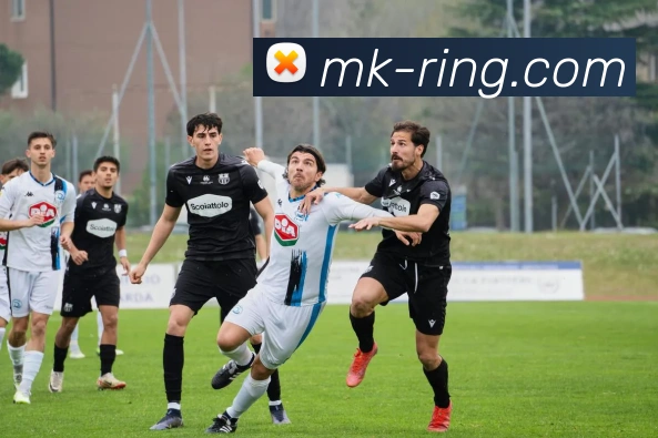 MK体育平台展示图