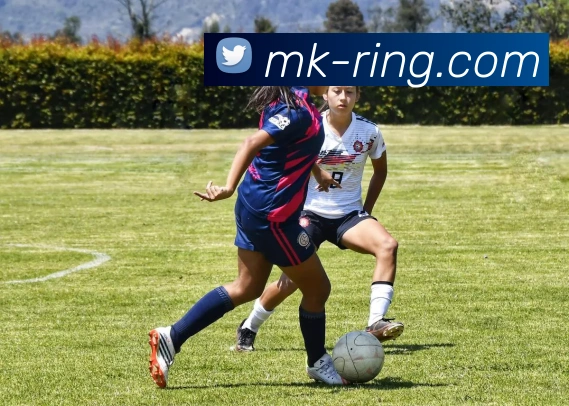 MK电子游艺全新体验打造多元娱乐互动平台惊喜无限